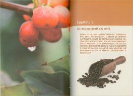 Le Virtù del Caffè — Libro - 4