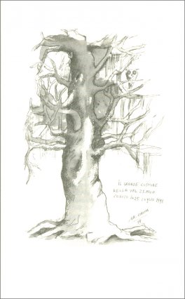 Le Voci del Bosco — Libro - 3