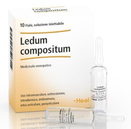 Ledum Compositum Heel 10 Fiale - 1