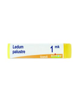 Ledum Palustre MK Globuli Monodose Boiron - 1