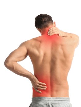 Lenodol Crema® con Aloe Arborescens, Arnica e Artiglio del Diavolo - 8