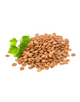 Lenticchie Piccole Bio - 2
