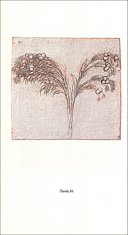 Leonardo e la Botanica — Libro - 3