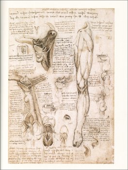 Leonardo - Il Genio nei Disegni — Libro - 3
