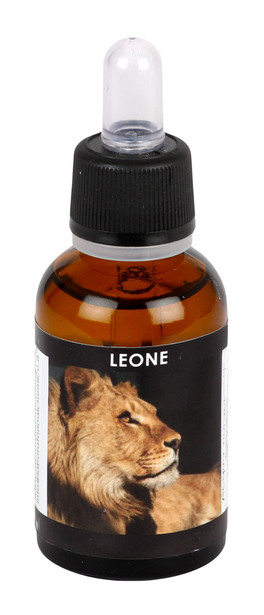 Leone - Acqua Vibrazionale
