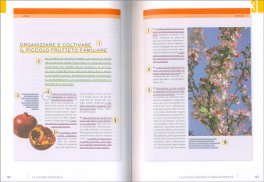 Lettura Veloce — Libro - 3