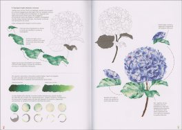 Lezioni di Acquerello Giapponese — Libro - 4