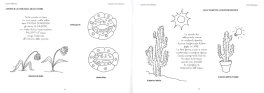 Lezioni di Botanica — Libro - 3