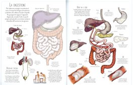 Libri con Adesivi - Il Corpo Umano — Libro - 3