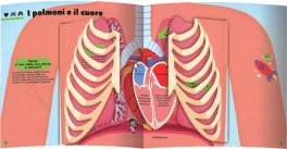 Il Libro Quiz del Corpo Umano — Libro - 3