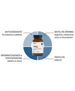 Lifert Man - 4