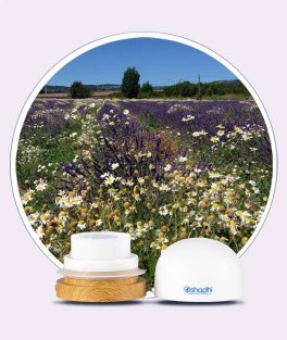 Light Air Diffuser - Diffusore per Oli Essenziali - 7