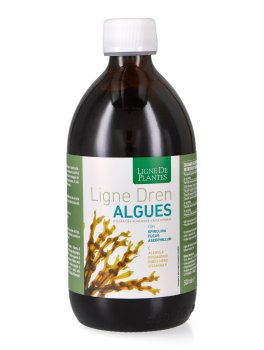 Ligne Dren - Algues - 2