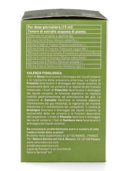 Ligne Dren Pura - Ampolle - 3