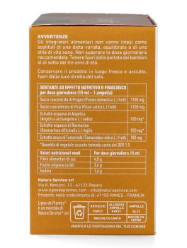 Ligne Flat - Ampolle - 3