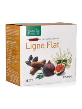 Ligne Flat - Ampolle - 1