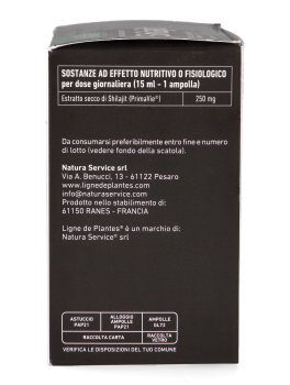 Ligne Shilajit - Ampolle - 3