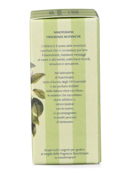 Lime e Foglie di Menta - Essenza Aromatica "Energia" - 3