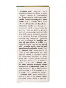 Linfa di Betulla Pubescens o Verrucosa Gemmoderivato Concentrato - Gemmo 10+ ® - 4
