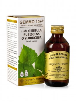 Linfa di Betulla Pubescens o Verrucosa Gemmoderivato Concentrato - Gemmo 10+ ® - 1