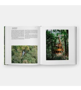 Linving in the Forest — Libro - 4
