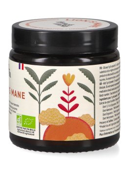 Lion's Mane Bio - Polvere - 2