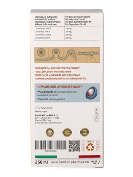 Liposomal Curcumin - 6