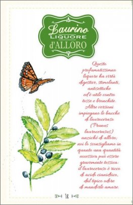 Liquoreria Casalinga — Libro - 2