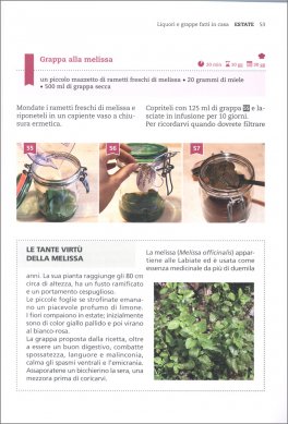Liquori e Grappe Fatti in Casa — Libro - 4