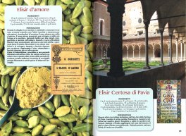 Liquori fatti in Casa — Libro - 3