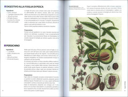 Liquori Salutari — Libro - 3
