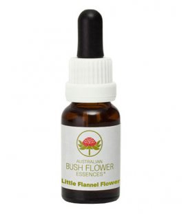 Little Flannel Flower - Fiori australiani - 15 ml - 1