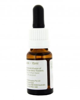 Little Flannel Flower - Fiori australiani - 15 ml - 2