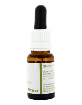 Little Flannel Flower - Essenza Floreale Australiana Singola - 3