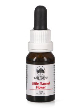 Little Flannel Flower - Essenza Floreale Australiana Singola - 1