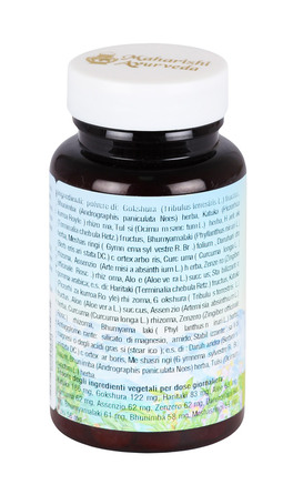 Livomap - Integratore di Haritaki, Katuka, Aloe, Curcuma, Bhumyamalaki e Daruharidra - 2