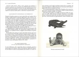 Lo Spazio del Bambino — Libro - 3