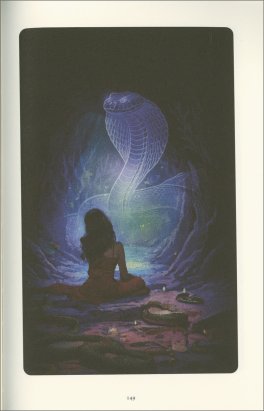 Lo Spirito Animale — Libro - 4