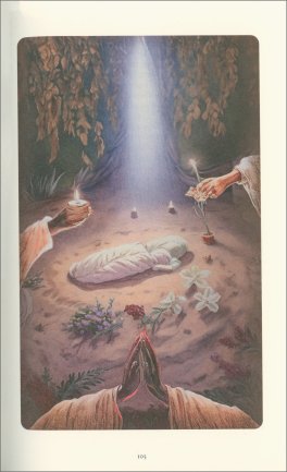 Lo Spirito Animale — Libro - 3