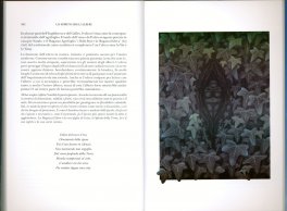 Lo Spirito degli Alberi — Libro - 3
