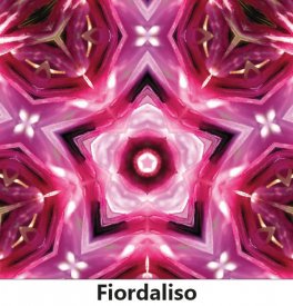 Lo Spirito nelle Piante — Libro - 7