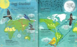 Lo Straordinario Mondo degli Uccelli — Libro - 3