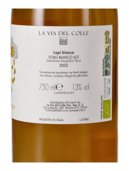 Lopi Bianco - Vino Bianco Bio - 3