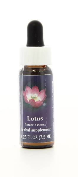 Lotus - Fiori californiani - 1