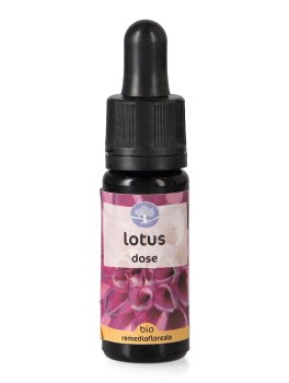 Lotus - Fiori californiani - Dose - 1