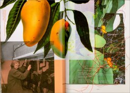 Lucia Veronesi. La Desinenza Estinta — Libro - 3