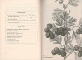 Lunario di Braccia Rubate — Libro - 3