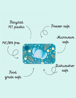 Lunch Box in Pet Riciclato - 5