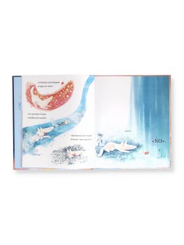 Lupo e Orso — Libro - 2