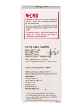 M-DMG - Energia e Difese Immunitarie - 5